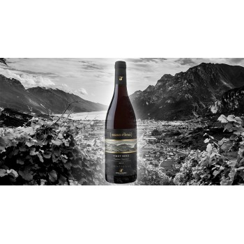 Agraria Riva del Garda MASO ELESI – Pinot Nero Trentino Superiore DOC Biologico 2017